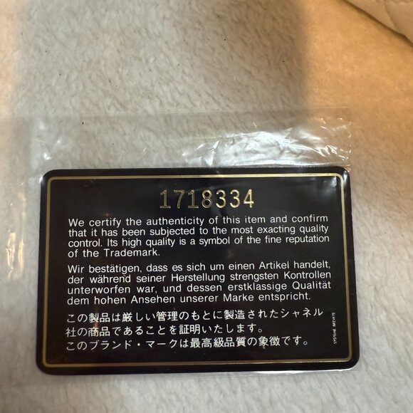 Chanel Lambskin Quilted Camera Tassel Bag with Gold-plated Hardware - Picture 12 of 12